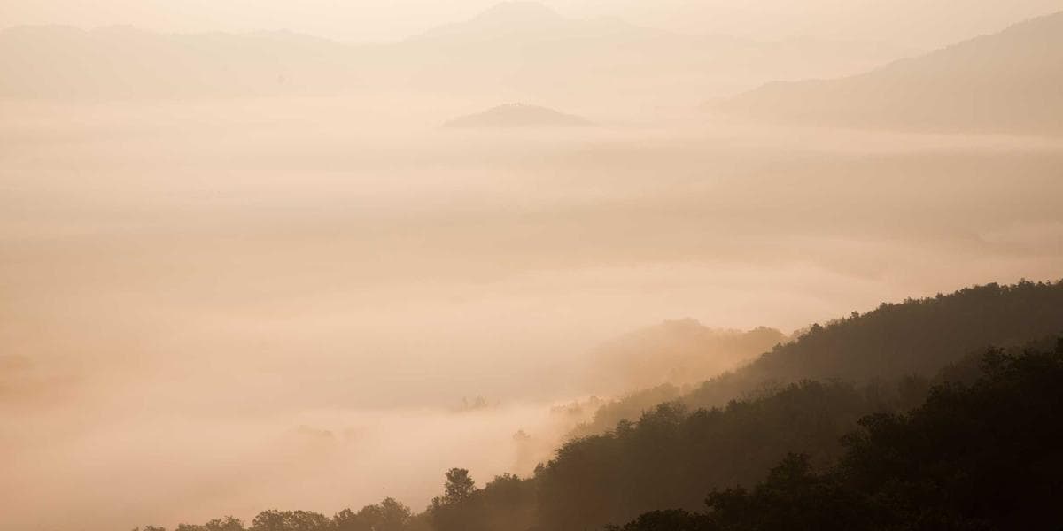 Understanding Anxiety